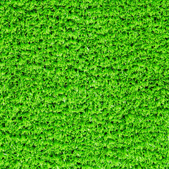 Grass Photography Board
