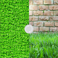 Grass Photography Board