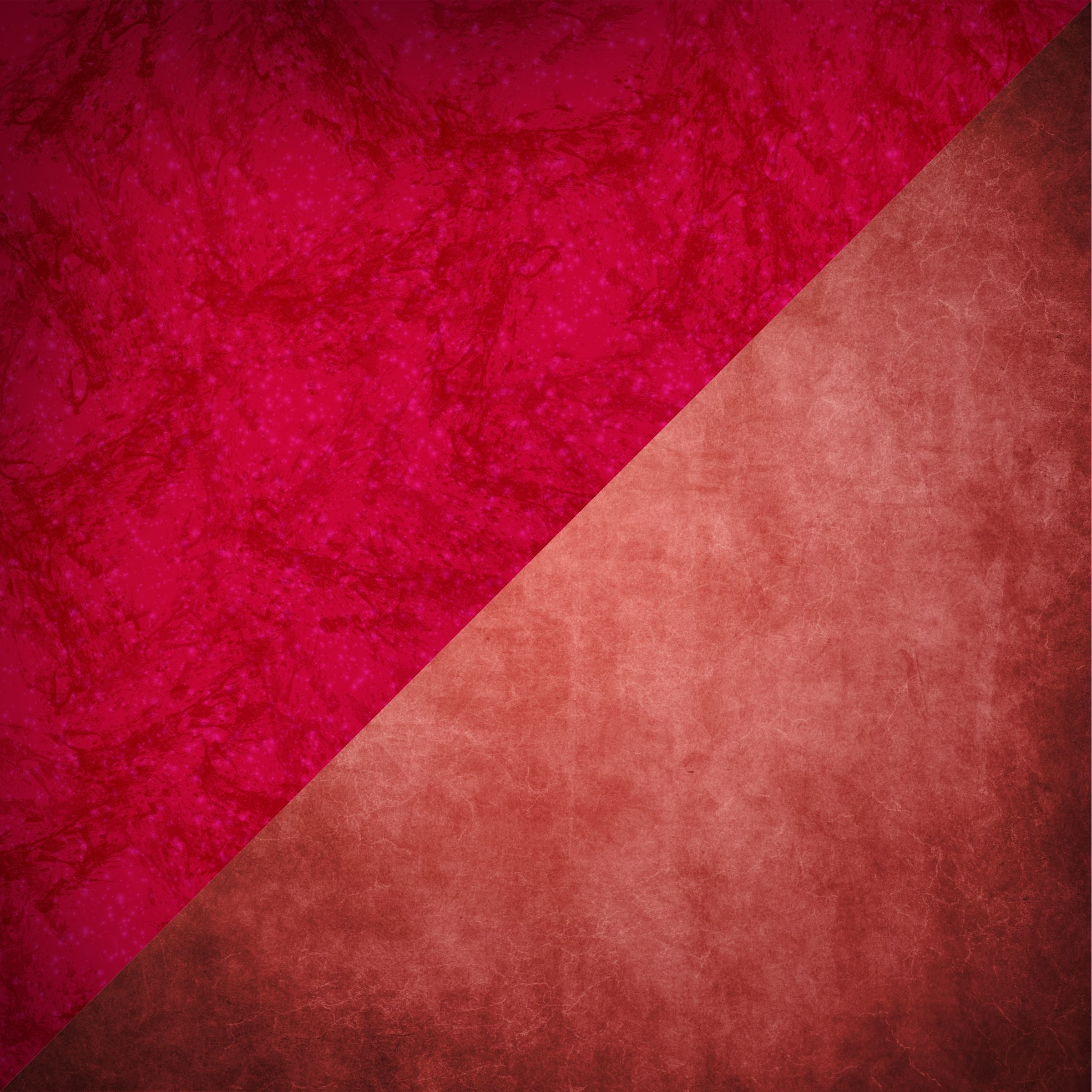 Red & Pink Photography Board