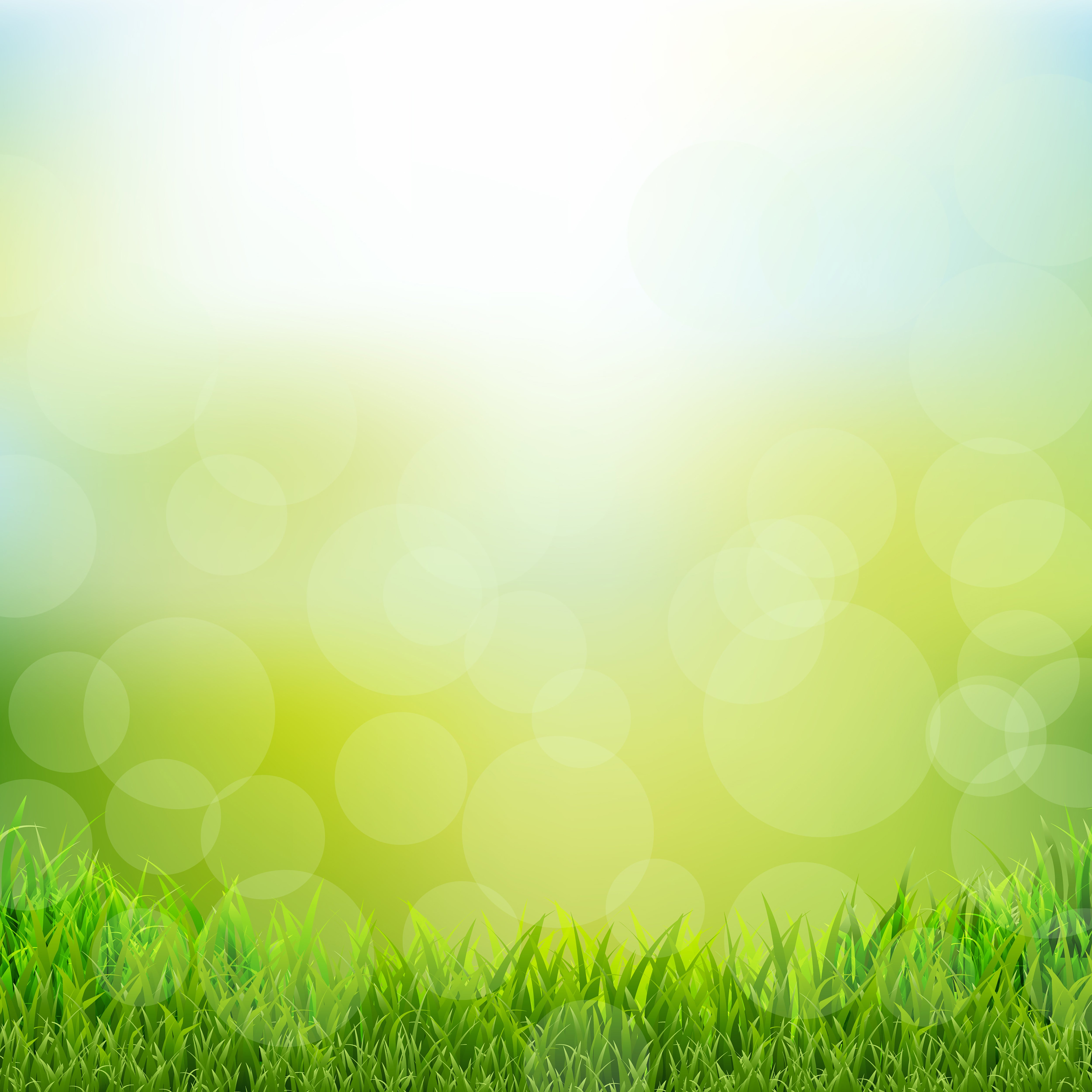 Natural & Bokeh Green Photography Board