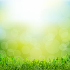 Natural & Bokeh Green Photography Board