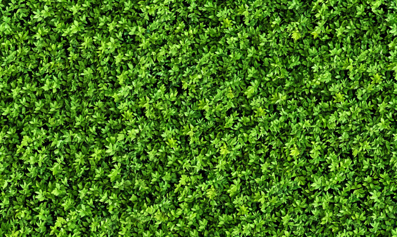 Grass Floor Drop