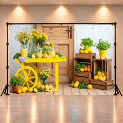 Sunshine & Lemons Summer-Themed Backdrop