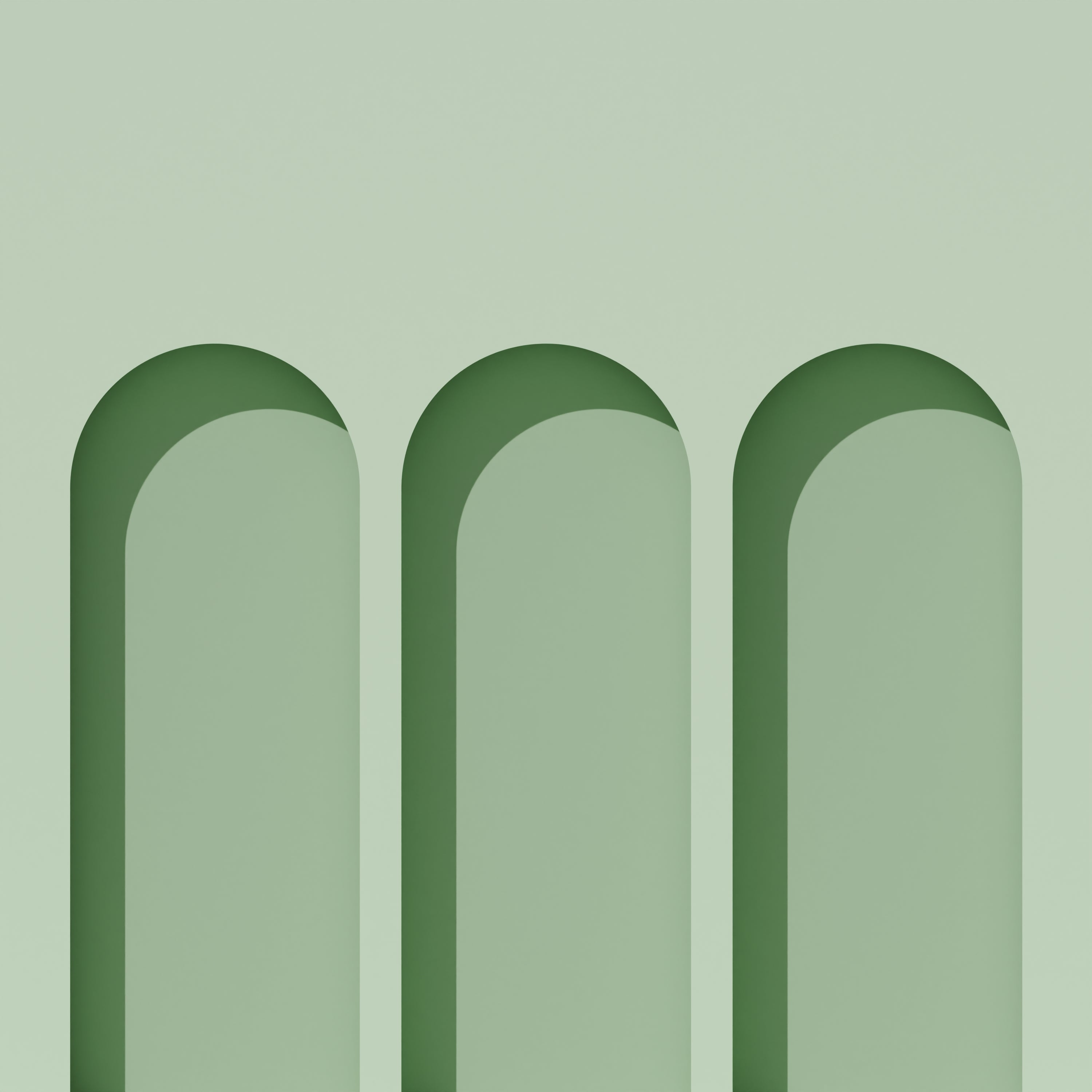 Green Wall Photography Board