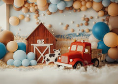 Farm Balloon Backdrop for Children’s Portraits