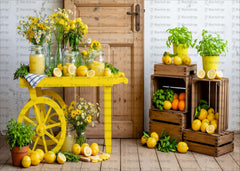 Sunshine & Lemons Summer-Themed Backdrop
