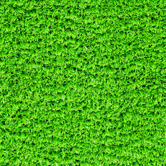 Grass Photography Board