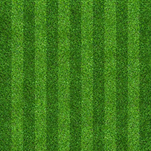 Green Grass Shade Photography Board