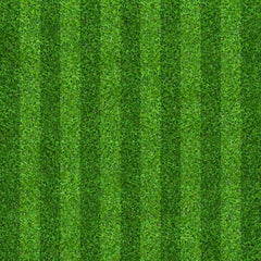 Green Grass Shade Photography Board