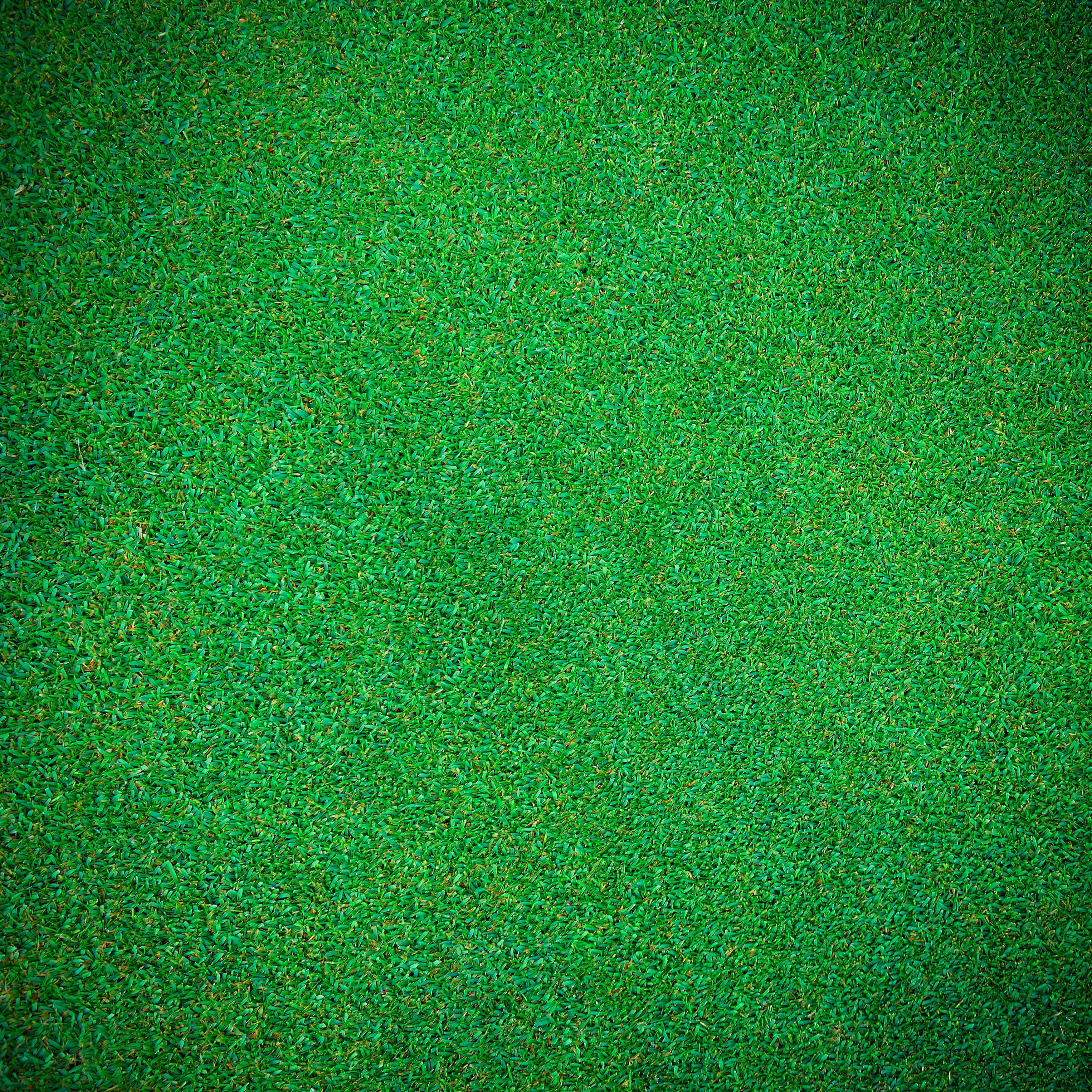 Green Grass Shade Photography Board