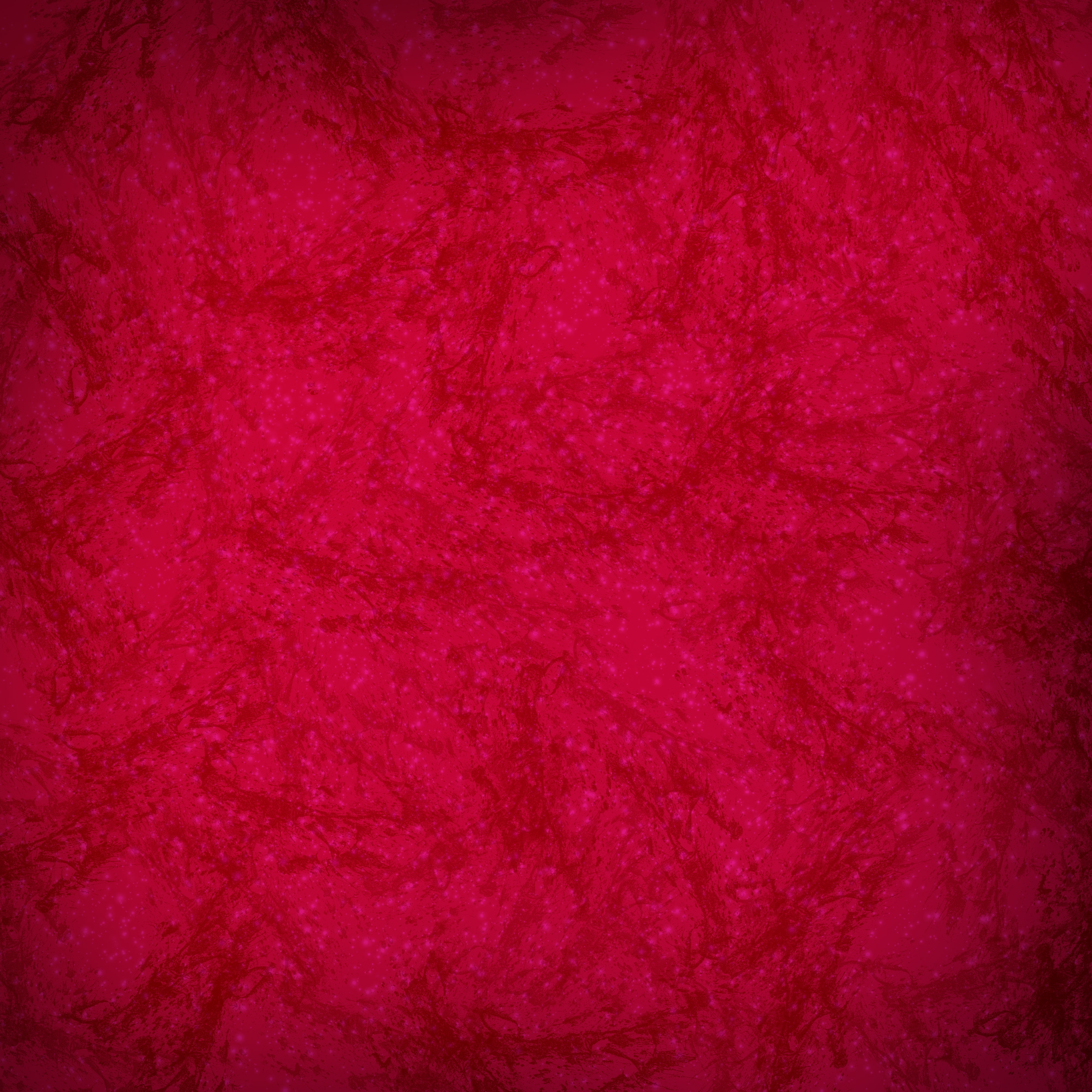 Red & Pink Photography Board
